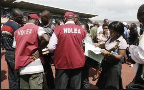 ndlea
