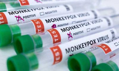 monkeypoxx-600x400-1