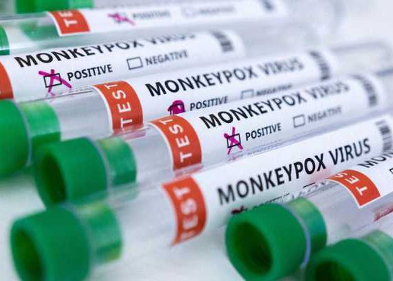 monkeypoxx-600x400-1